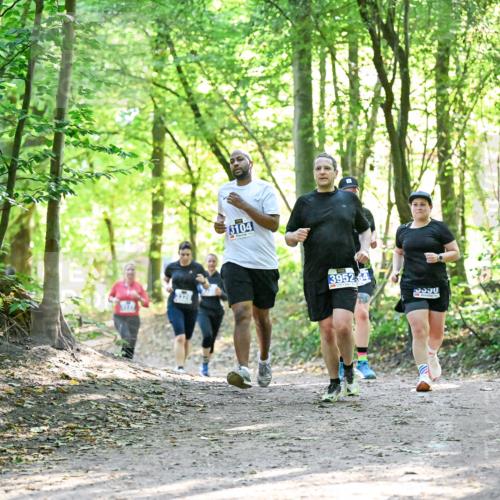 28.09.2025 - 33. Volkslauf durch das schöne Alstertal Dr. Thomas Lammeyer http://msf.ph/oto/8963768 28.09.2025 11:17:09 Laufen 3104, 3952, 54 meine-sportfotos.de