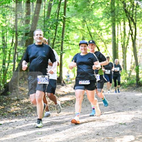 28.09.2025 - 33. Volkslauf durch das schöne Alstertal Dr. Thomas Lammeyer http://msf.ph/oto/8963784 28.09.2025 11:17:12 Laufen 3952, 1 meine-sportfotos.de