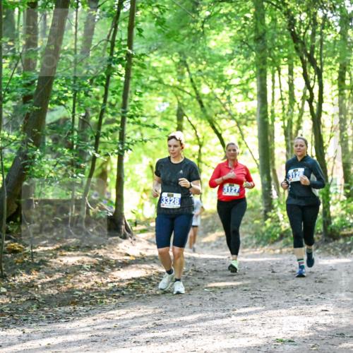28.09.2025 - 33. Volkslauf durch das schöne Alstertal Dr. Thomas Lammeyer http://msf.ph/oto/8963797 28.09.2025 11:17:15 Laufen 3328, 3127 meine-sportfotos.de