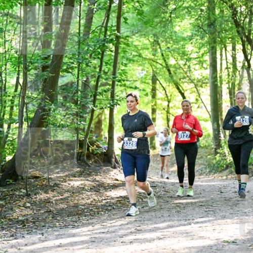 28.09.2025 - 33. Volkslauf durch das schöne Alstertal Dr. Thomas Lammeyer http://msf.ph/oto/8963800 28.09.2025 11:17:15 Laufen 3328, 3127, 128 meine-sportfotos.de