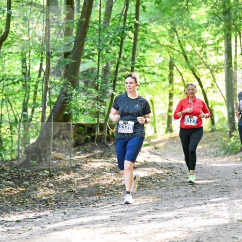 28.09.2025 - 33. Volkslauf durch das schöne Alstertal Dr. Thomas Lammeyer http://msf.ph/oto/8963803 28.09.2025 11:17:15 Laufen 3328, 3127, 312 meine-sportfotos.de