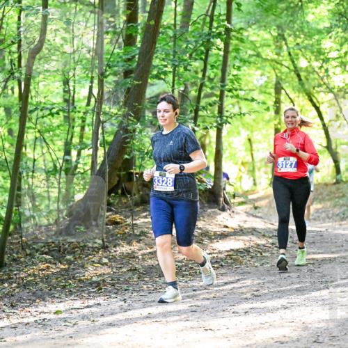 28.09.2025 - 33. Volkslauf durch das schöne Alstertal Dr. Thomas Lammeyer http://msf.ph/oto/8963806 28.09.2025 11:17:16 Laufen 3328, 3128, 3127 meine-sportfotos.de