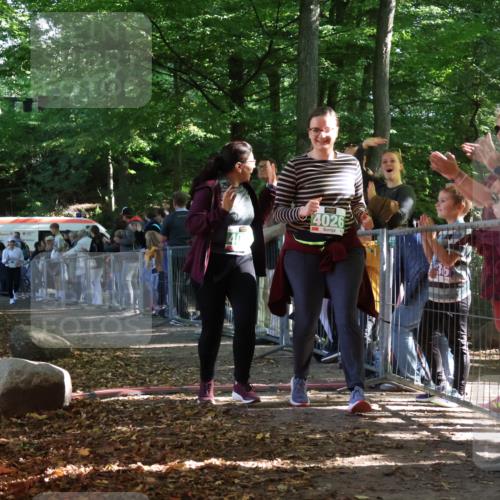 28.09.2025 - 33. Volkslauf durch das schöne Alstertal Strokosch-Dieckow http://msf.ph/oto/8963807 28.09.2025 11:08:34 Ziel 4026, 4027, 4068 meine-sportfotos.de