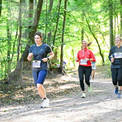 28.09.2025 - 33. Volkslauf durch das schöne Alstertal Dr. Thomas Lammeyer http://msf.ph/oto/8963808 28.09.2025 11:17:16 Laufen 3127, 3328, 3128 meine-sportfotos.de