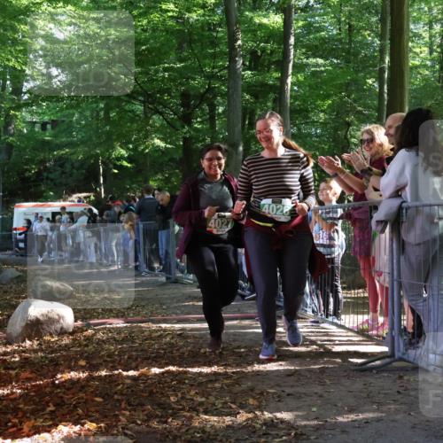 28.09.2025 - 33. Volkslauf durch das schöne Alstertal Strokosch-Dieckow http://msf.ph/oto/8963814 28.09.2025 11:08:34 Ziel 4026, 4027, 4068 meine-sportfotos.de