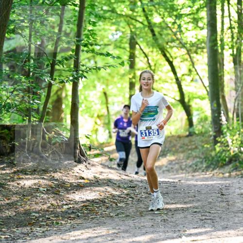 28.09.2025 - 33. Volkslauf durch das schöne Alstertal Dr. Thomas Lammeyer http://msf.ph/oto/8963825 28.09.2025 11:17:20 Laufen 3135 meine-sportfotos.de