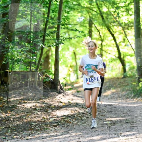 28.09.2025 - 33. Volkslauf durch das schöne Alstertal Dr. Thomas Lammeyer http://msf.ph/oto/8963827 28.09.2025 11:17:20 Laufen 16, 3135 meine-sportfotos.de