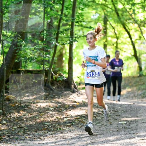 28.09.2025 - 33. Volkslauf durch das schöne Alstertal Dr. Thomas Lammeyer http://msf.ph/oto/8963829 28.09.2025 11:17:20 Laufen 3135, 1 meine-sportfotos.de