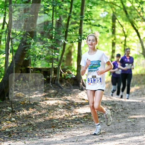 28.09.2025 - 33. Volkslauf durch das schöne Alstertal Dr. Thomas Lammeyer http://msf.ph/oto/8963830 28.09.2025 11:17:20 Laufen 20, 3135 meine-sportfotos.de