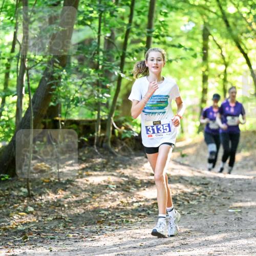28.09.2025 - 33. Volkslauf durch das schöne Alstertal Dr. Thomas Lammeyer http://msf.ph/oto/8963832 28.09.2025 11:17:20 Laufen 6, 2025, 3135 meine-sportfotos.de