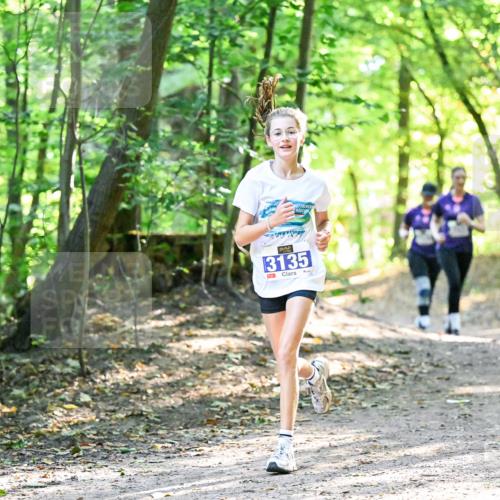 28.09.2025 - 33. Volkslauf durch das schöne Alstertal Dr. Thomas Lammeyer http://msf.ph/oto/8963833 28.09.2025 11:17:20 Laufen 3135 meine-sportfotos.de