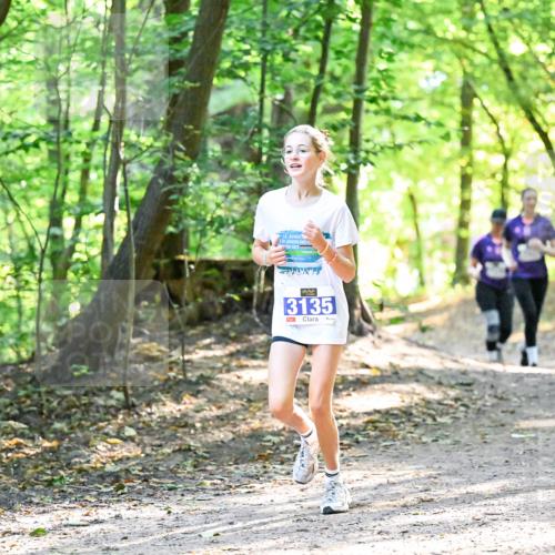 28.09.2025 - 33. Volkslauf durch das schöne Alstertal Dr. Thomas Lammeyer http://msf.ph/oto/8963834 28.09.2025 11:17:21 Laufen 56, 2025, 3135 meine-sportfotos.de