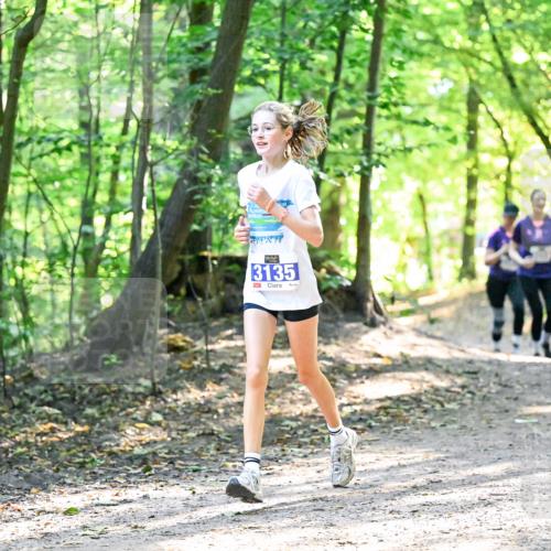 28.09.2025 - 33. Volkslauf durch das schöne Alstertal Dr. Thomas Lammeyer http://msf.ph/oto/8963835 28.09.2025 11:17:21 Laufen 3135 meine-sportfotos.de