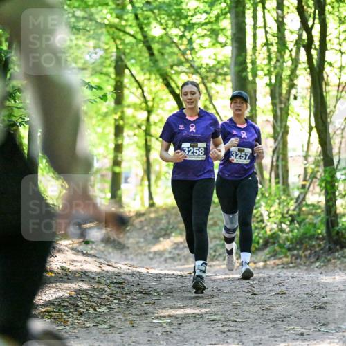 28.09.2025 - 33. Volkslauf durch das schöne Alstertal Dr. Thomas Lammeyer http://msf.ph/oto/8963844 28.09.2025 11:17:23 Laufen 22, 3258, 3257, 1 meine-sportfotos.de
