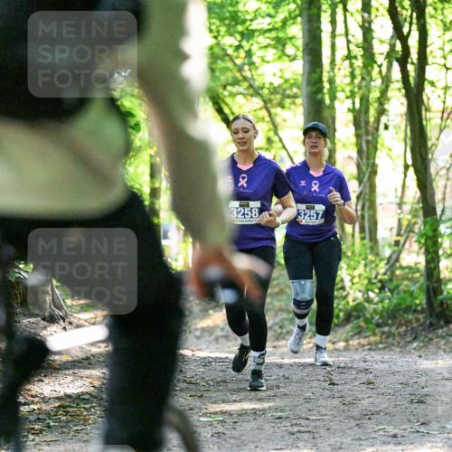 28.09.2025 - 33. Volkslauf durch das schöne Alstertal Dr. Thomas Lammeyer http://msf.ph/oto/8963845 28.09.2025 11:17:23 Laufen 2, 3258, 2, 3257, 1 meine-sportfotos.de
