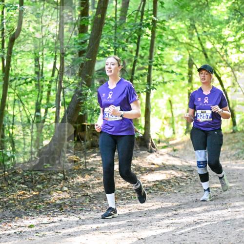 28.09.2025 - 33. Volkslauf durch das schöne Alstertal Dr. Thomas Lammeyer http://msf.ph/oto/8963849 28.09.2025 11:17:25 Laufen 2, 3257 meine-sportfotos.de