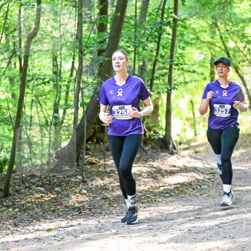 28.09.2025 - 33. Volkslauf durch das schöne Alstertal Dr. Thomas Lammeyer http://msf.ph/oto/8963850 28.09.2025 11:17:25 Laufen 2, 3258, 2, 13257 meine-sportfotos.de