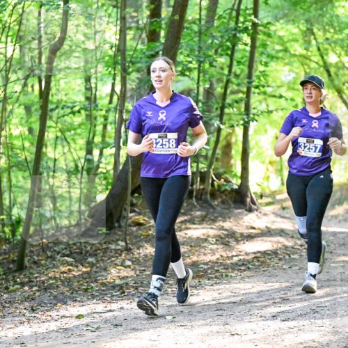 28.09.2025 - 33. Volkslauf durch das schöne Alstertal Dr. Thomas Lammeyer http://msf.ph/oto/8963851 28.09.2025 11:17:25 Laufen 2, 3258, 3257 meine-sportfotos.de