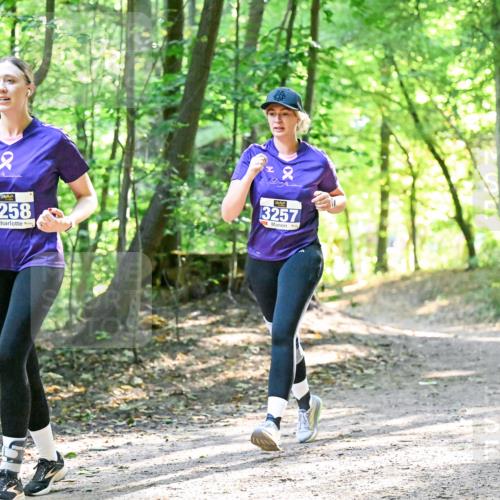 28.09.2025 - 33. Volkslauf durch das schöne Alstertal Dr. Thomas Lammeyer http://msf.ph/oto/8963852 28.09.2025 11:17:26 Laufen 3258, 2, 13257 meine-sportfotos.de