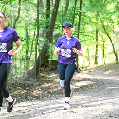 28.09.2025 - 33. Volkslauf durch das schöne Alstertal Dr. Thomas Lammeyer http://msf.ph/oto/8963853 28.09.2025 11:17:26 Laufen 3258, 3257 meine-sportfotos.de