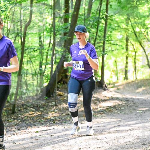 28.09.2025 - 33. Volkslauf durch das schöne Alstertal Dr. Thomas Lammeyer http://msf.ph/oto/8963855 28.09.2025 11:17:26 Laufen 2, 31, 3257 meine-sportfotos.de