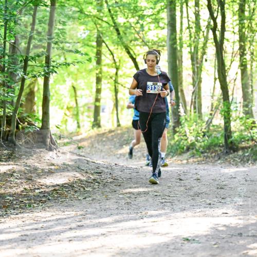 28.09.2025 - 33. Volkslauf durch das schöne Alstertal Dr. Thomas Lammeyer http://msf.ph/oto/8963875 28.09.2025 11:17:39 Laufen 3139 meine-sportfotos.de