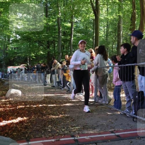 28.09.2025 - 33. Volkslauf durch das schöne Alstertal Strokosch-Dieckow http://msf.ph/oto/8963877 28.09.2025 11:08:43 Ziel  meine-sportfotos.de