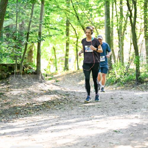 28.09.2025 - 33. Volkslauf durch das schöne Alstertal Dr. Thomas Lammeyer http://msf.ph/oto/8963878 28.09.2025 11:17:39 Laufen 313, 072 meine-sportfotos.de