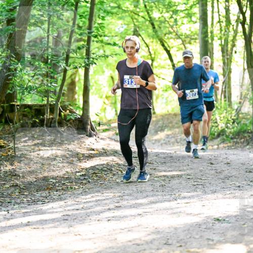28.09.2025 - 33. Volkslauf durch das schöne Alstertal Dr. Thomas Lammeyer http://msf.ph/oto/8963884 28.09.2025 11:17:40 Laufen 313, 3072 meine-sportfotos.de