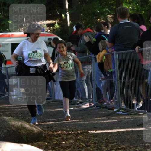 28.09.2025 - 33. Volkslauf durch das schöne Alstertal Strokosch-Dieckow http://msf.ph/oto/8963885 28.09.2025 11:09:10 Ziel 4096, 4097 meine-sportfotos.de