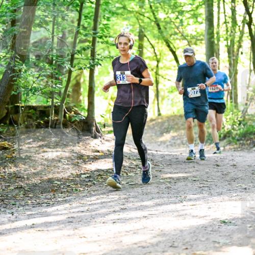 28.09.2025 - 33. Volkslauf durch das schöne Alstertal Dr. Thomas Lammeyer http://msf.ph/oto/8963886 28.09.2025 11:17:40 Laufen 313, 3072, 1521 meine-sportfotos.de