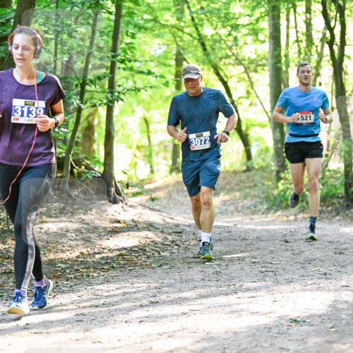 28.09.2025 - 33. Volkslauf durch das schöne Alstertal Dr. Thomas Lammeyer http://msf.ph/oto/8963891 28.09.2025 11:17:41 Laufen 13139, 3072, 521 meine-sportfotos.de