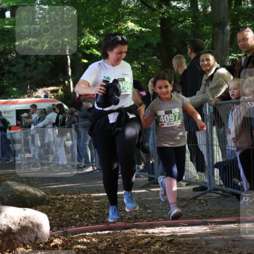 28.09.2025 - 33. Volkslauf durch das schöne Alstertal Strokosch-Dieckow http://msf.ph/oto/8963904 28.09.2025 11:09:12 Ziel 4037, 4096, 4097 meine-sportfotos.de