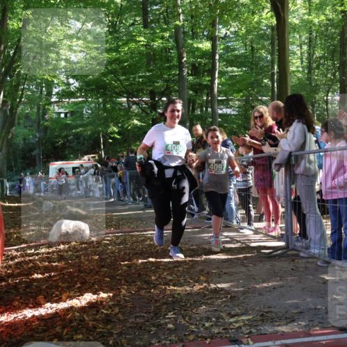 28.09.2025 - 33. Volkslauf durch das schöne Alstertal Strokosch-Dieckow http://msf.ph/oto/8963917 28.09.2025 11:09:13 Ziel 4037, 4097 meine-sportfotos.de