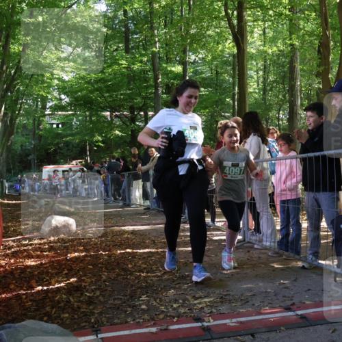 28.09.2025 - 33. Volkslauf durch das schöne Alstertal Strokosch-Dieckow http://msf.ph/oto/8963923 28.09.2025 11:09:13 Ziel 4037, 4097 meine-sportfotos.de