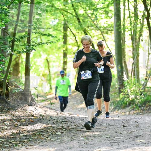28.09.2025 - 33. Volkslauf durch das schöne Alstertal Dr. Thomas Lammeyer http://msf.ph/oto/8963935 28.09.2025 11:18:01 Laufen 3343, 157 meine-sportfotos.de