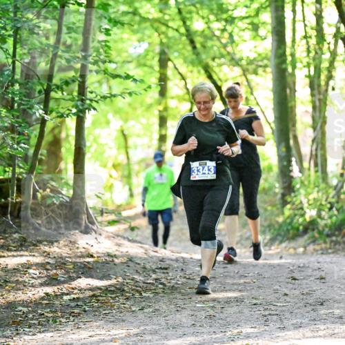 28.09.2025 - 33. Volkslauf durch das schöne Alstertal Dr. Thomas Lammeyer http://msf.ph/oto/8963936 28.09.2025 11:18:01 Laufen 3343 meine-sportfotos.de