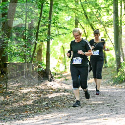 28.09.2025 - 33. Volkslauf durch das schöne Alstertal Dr. Thomas Lammeyer http://msf.ph/oto/8963940 28.09.2025 11:18:02 Laufen 3343, 3157 meine-sportfotos.de