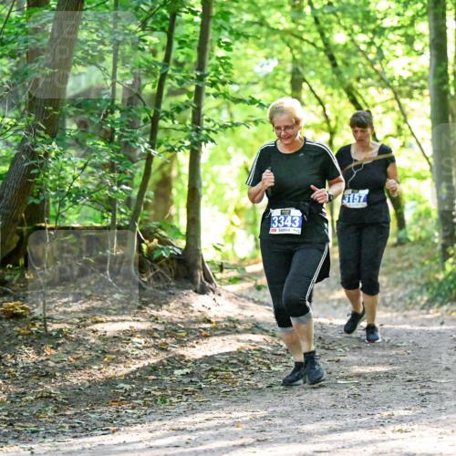 28.09.2025 - 33. Volkslauf durch das schöne Alstertal Dr. Thomas Lammeyer http://msf.ph/oto/8963941 28.09.2025 11:18:02 Laufen 3343, 3157 meine-sportfotos.de
