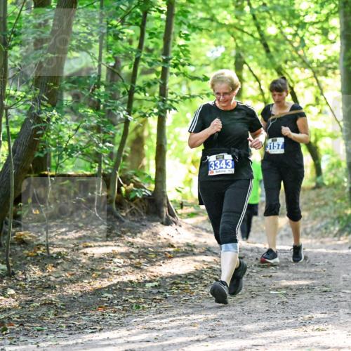 28.09.2025 - 33. Volkslauf durch das schöne Alstertal Dr. Thomas Lammeyer http://msf.ph/oto/8963942 28.09.2025 11:18:02 Laufen 3343, 3157 meine-sportfotos.de