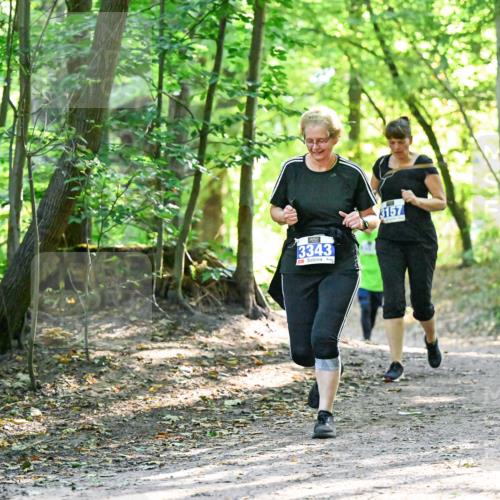 28.09.2025 - 33. Volkslauf durch das schöne Alstertal Dr. Thomas Lammeyer http://msf.ph/oto/8963943 28.09.2025 11:18:02 Laufen 3343, 3157 meine-sportfotos.de