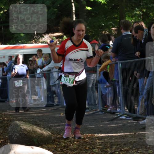 28.09.2025 - 33. Volkslauf durch das schöne Alstertal Strokosch-Dieckow http://msf.ph/oto/8963944 28.09.2025 11:09:18 Ziel 4037, 4145 meine-sportfotos.de