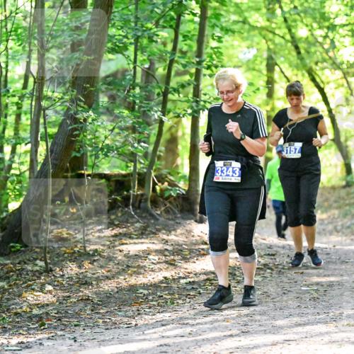 28.09.2025 - 33. Volkslauf durch das schöne Alstertal Dr. Thomas Lammeyer http://msf.ph/oto/8963945 28.09.2025 11:18:02 Laufen 3343, 3157 meine-sportfotos.de