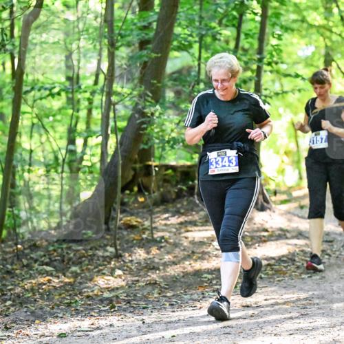 28.09.2025 - 33. Volkslauf durch das schöne Alstertal Dr. Thomas Lammeyer http://msf.ph/oto/8963949 28.09.2025 11:18:03 Laufen 3343, 157 meine-sportfotos.de