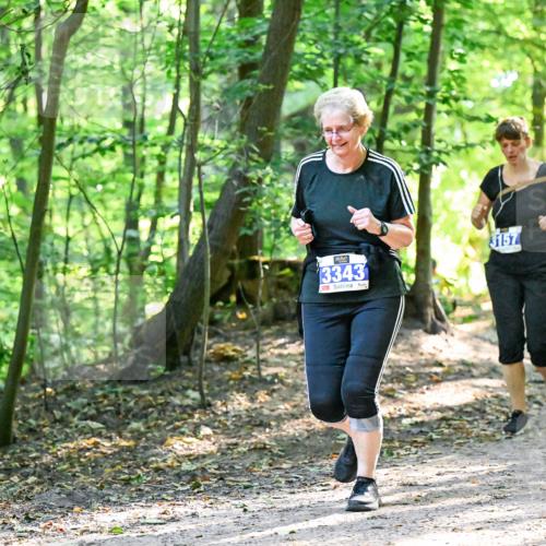 28.09.2025 - 33. Volkslauf durch das schöne Alstertal Dr. Thomas Lammeyer http://msf.ph/oto/8963950 28.09.2025 11:18:03 Laufen 3343, 3157 meine-sportfotos.de