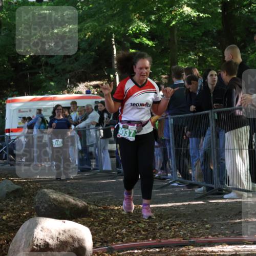 28.09.2025 - 33. Volkslauf durch das schöne Alstertal Strokosch-Dieckow http://msf.ph/oto/8963951 28.09.2025 11:09:19 Ziel 4037, 4145 meine-sportfotos.de