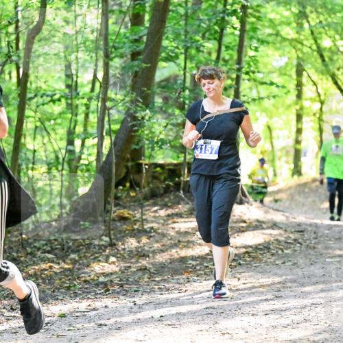 28.09.2025 - 33. Volkslauf durch das schöne Alstertal Dr. Thomas Lammeyer http://msf.ph/oto/8963952 28.09.2025 11:18:04 Laufen 3343, 3157 meine-sportfotos.de