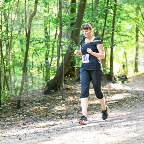 28.09.2025 - 33. Volkslauf durch das schöne Alstertal Dr. Thomas Lammeyer http://msf.ph/oto/8963954 28.09.2025 11:18:04 Laufen 3157 meine-sportfotos.de