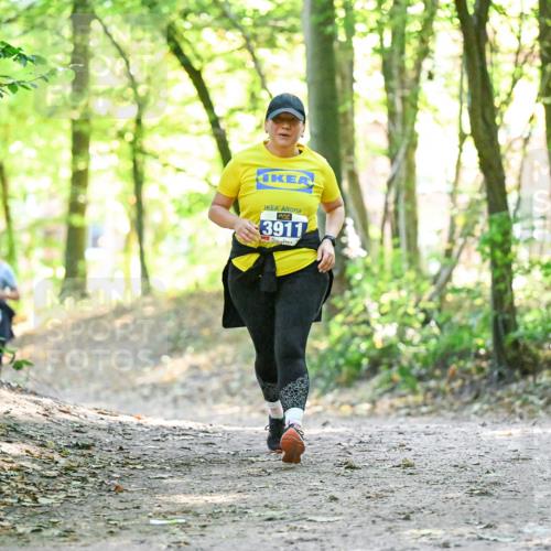 28.09.2025 - 33. Volkslauf durch das schöne Alstertal Dr. Thomas Lammeyer http://msf.ph/oto/8963956 28.09.2025 11:18:10 Laufen 3911 meine-sportfotos.de