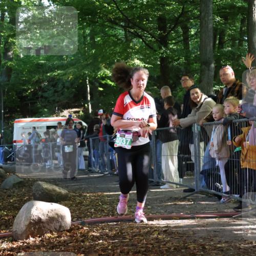 28.09.2025 - 33. Volkslauf durch das schöne Alstertal Strokosch-Dieckow http://msf.ph/oto/8963962 28.09.2025 11:09:20 Ziel 4037, 4145 meine-sportfotos.de